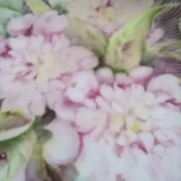 LIMOGES FRANCE 10"VINTAGE HAND PAINTED PLATE PEONIES - Picture 11 of 14